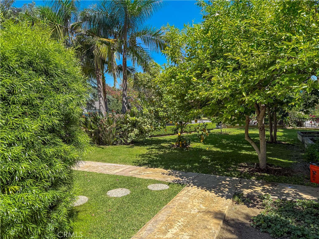 202 W Lemon Avenue