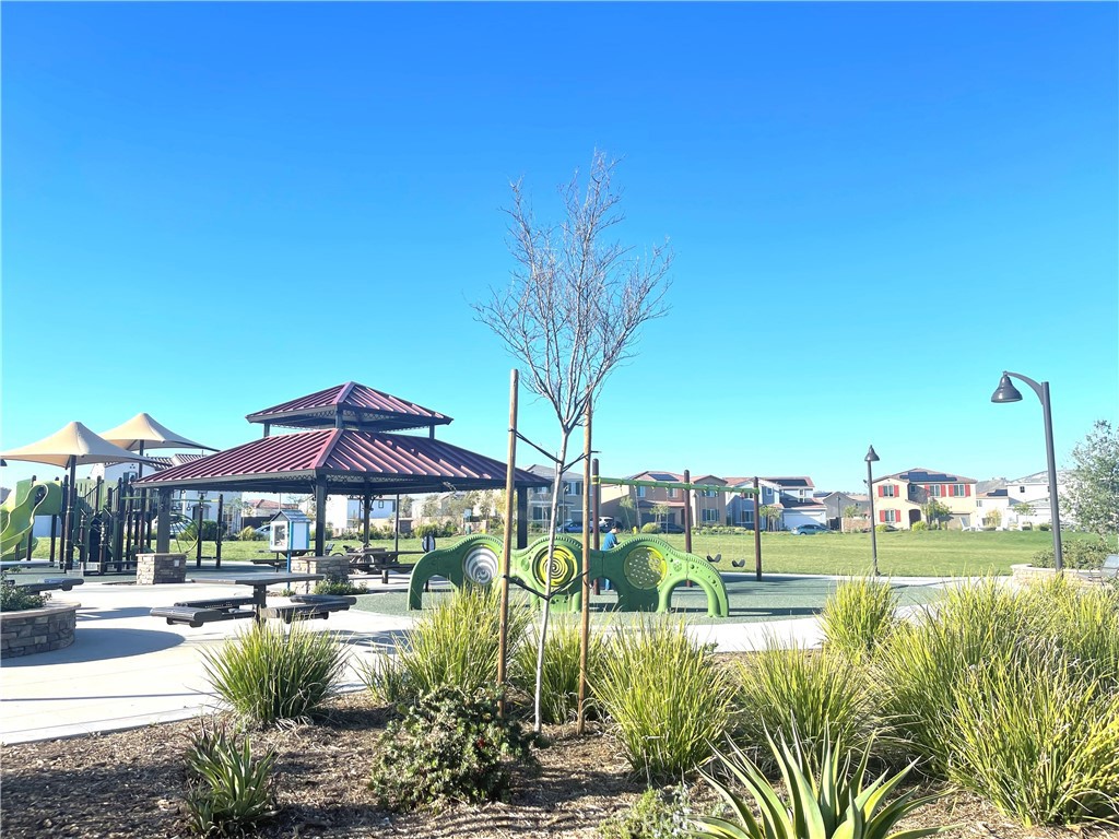 29157 Sunforest