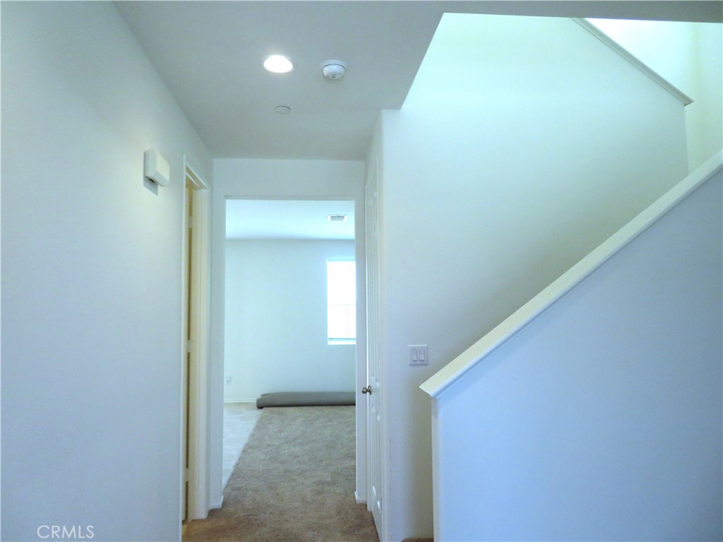 29157 Sunforest