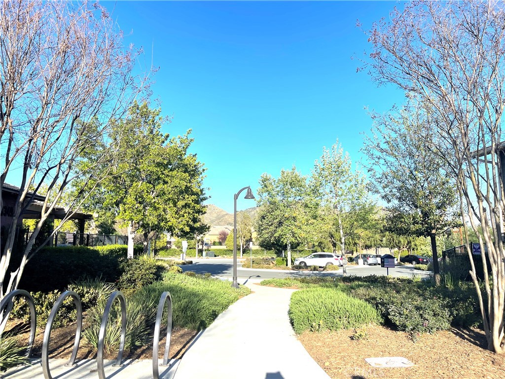 29157 Sunforest