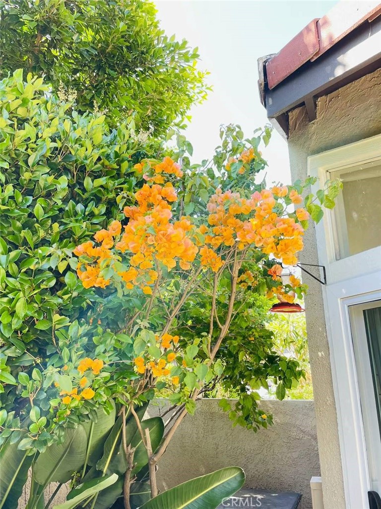 267 Stanford Court 110