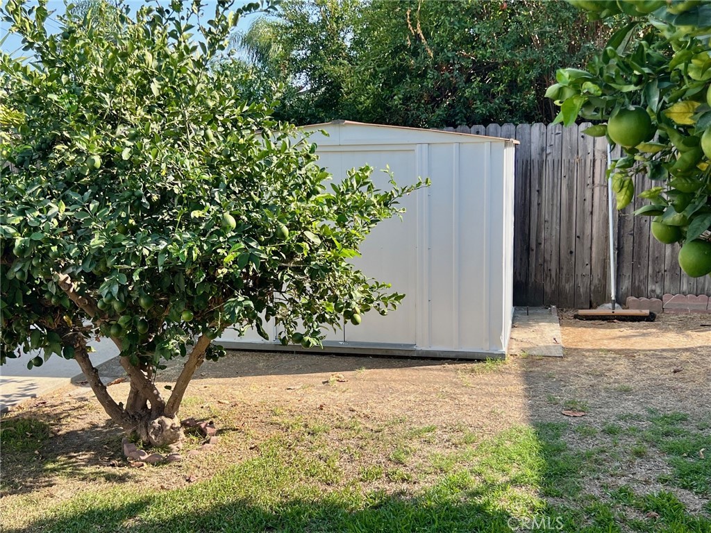 10120 El Poche Street