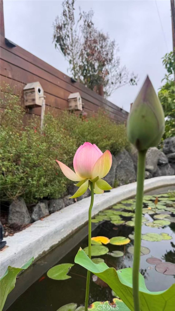 125 W Ronwood Street