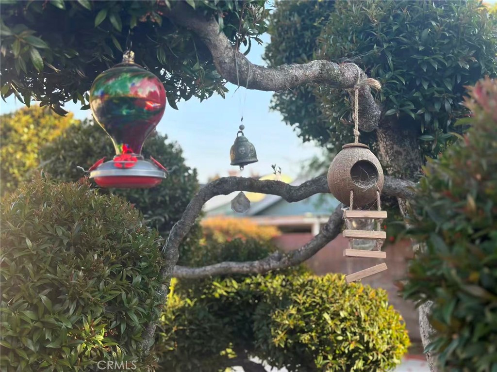 125 W Ronwood Street