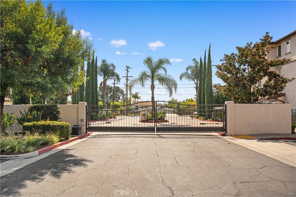 1118 Calle Montana