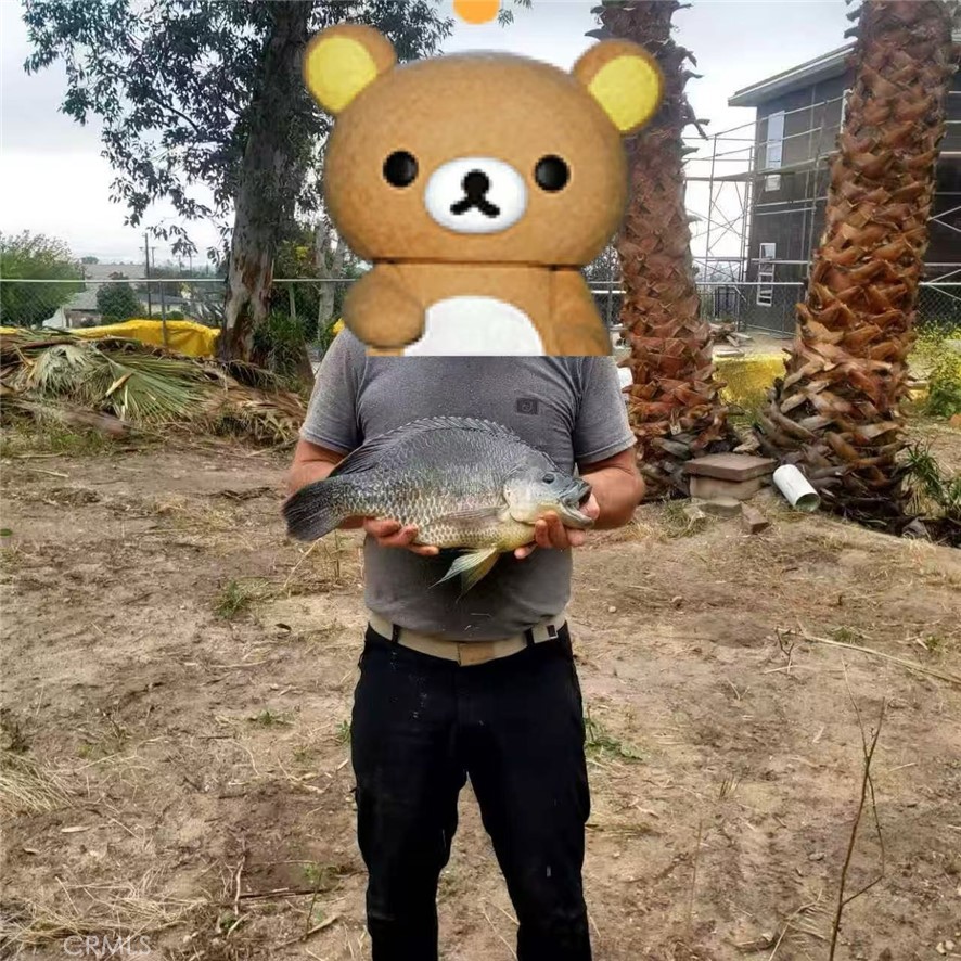 3818 3828 Osbun Road