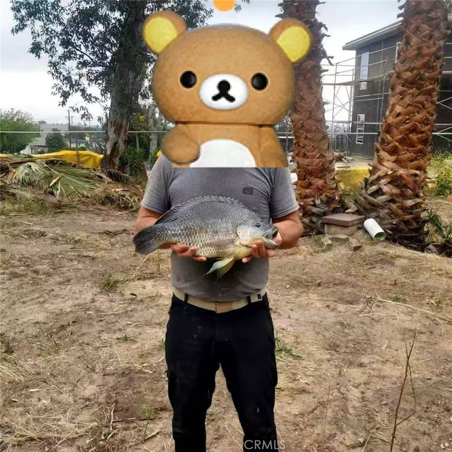 3818 3828 Osbun Road