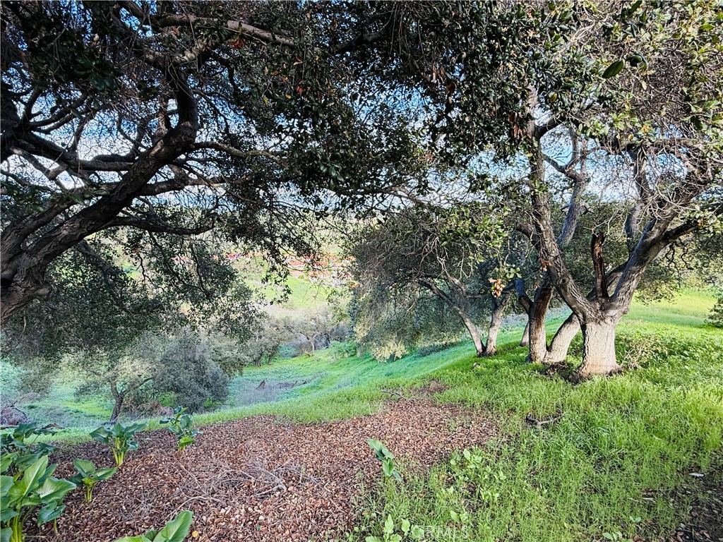 20977 E CANYON RIDGE LN