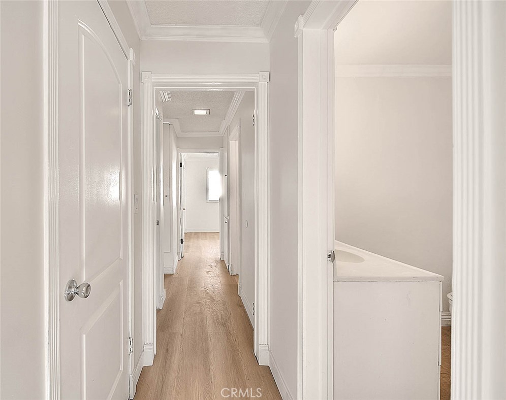 2014 Associated Road 12