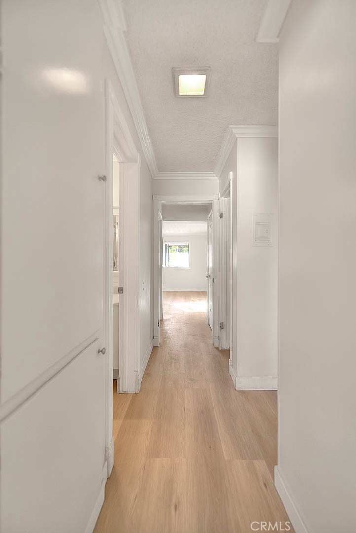 2014 Associated Road 12