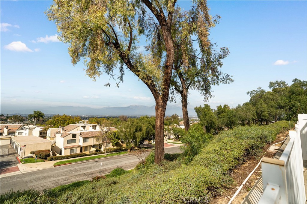 13158 Pinnacle Court