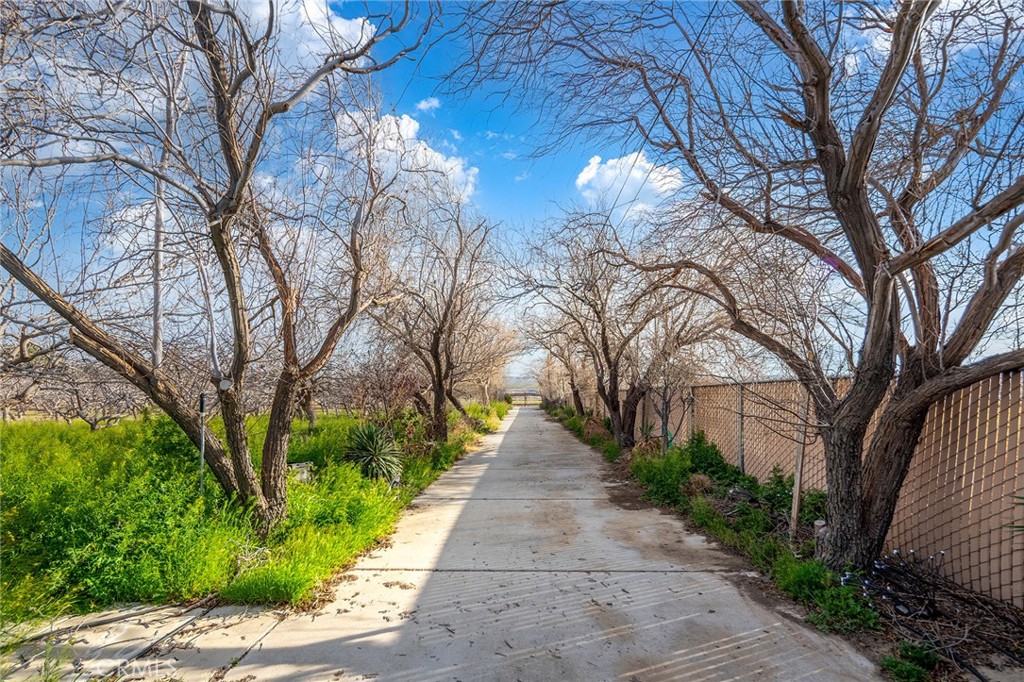 31516 Clay River Road