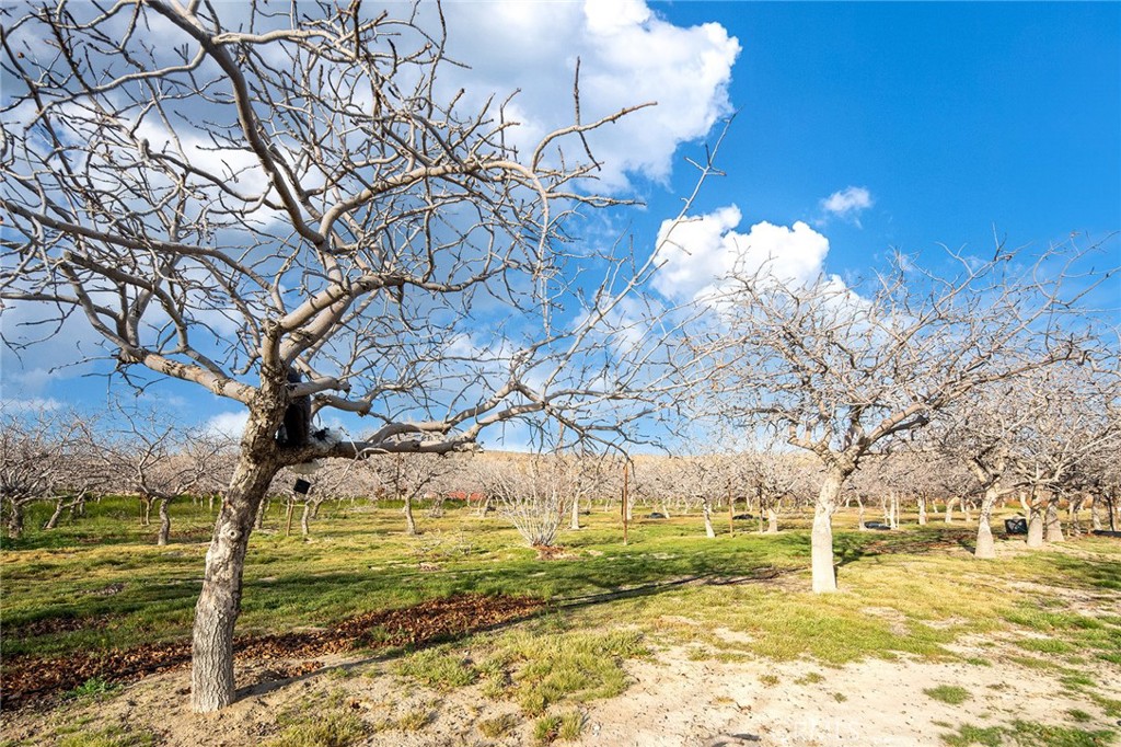 31516 Clay River Road