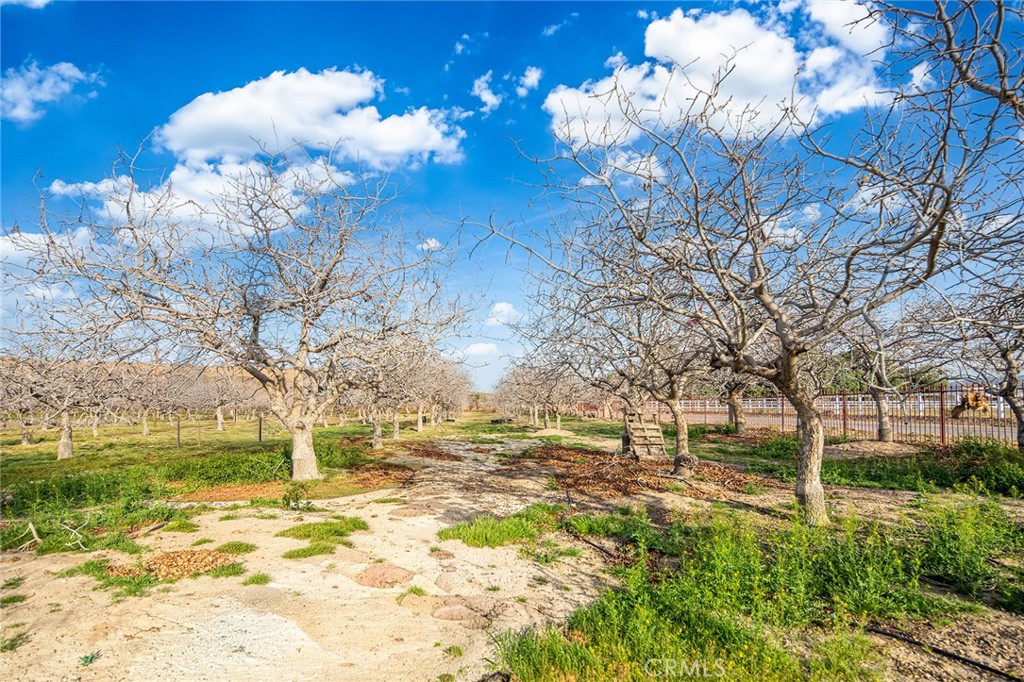 31516 Clay River Road