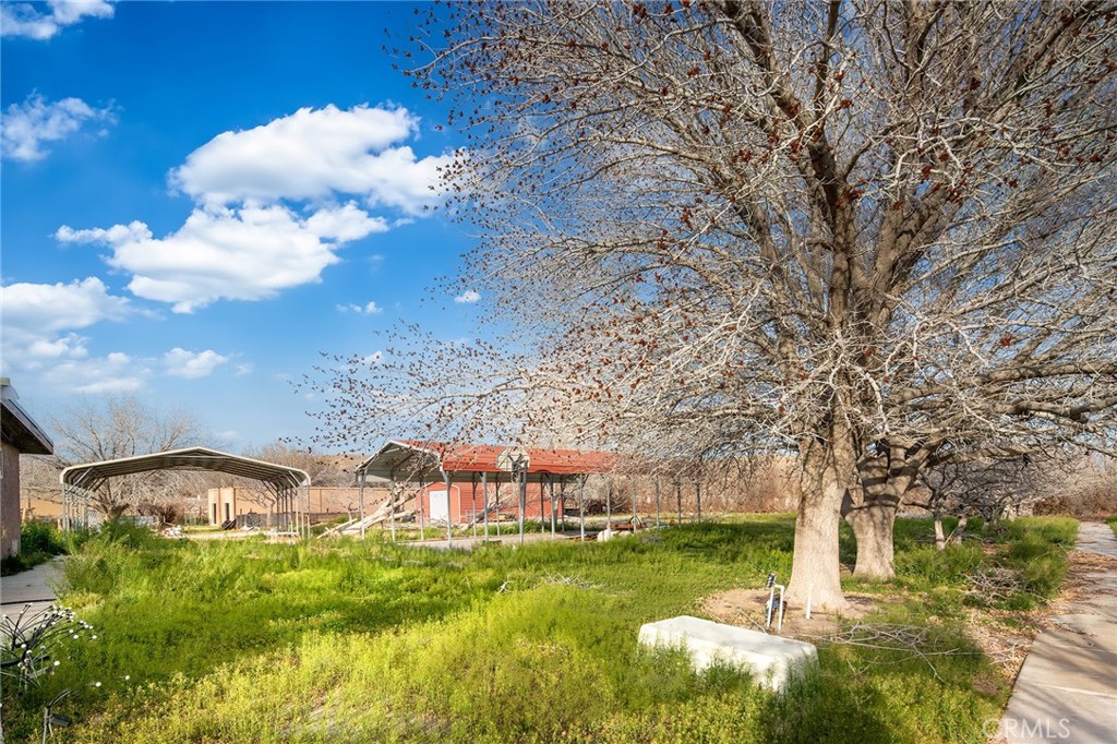 31516 Clay River Road