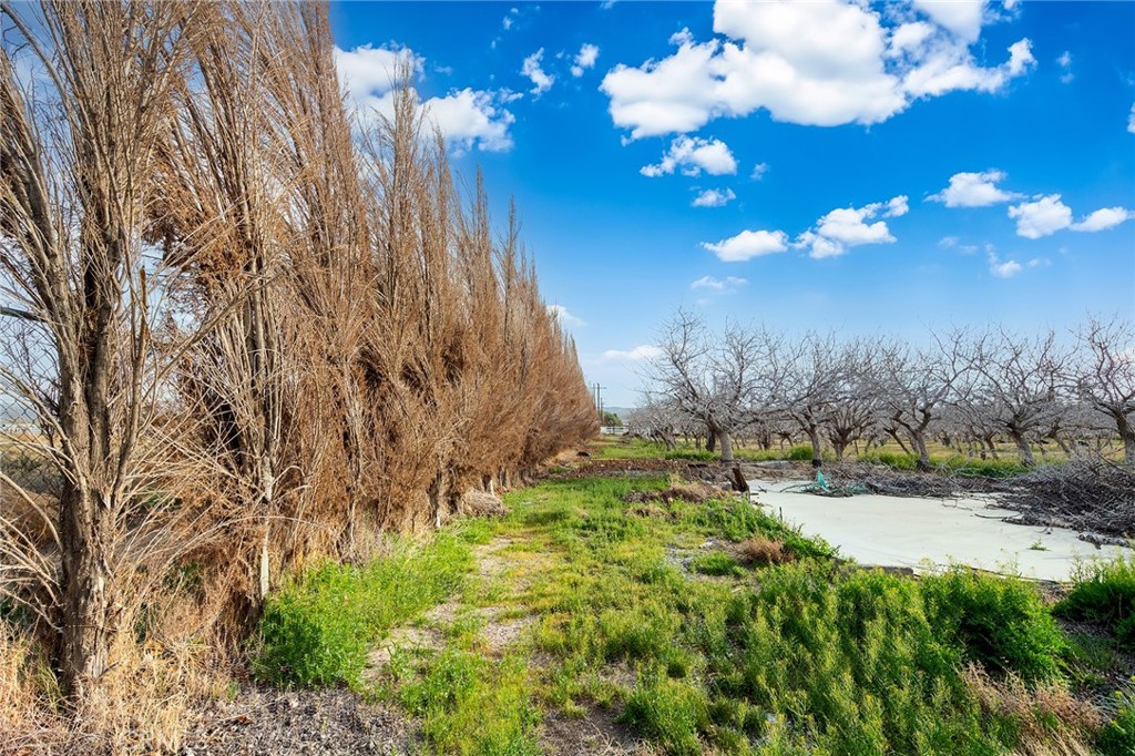 31516 Clay River Road