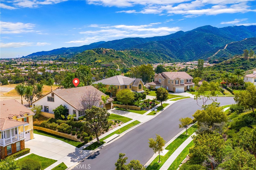 3165 Forest View