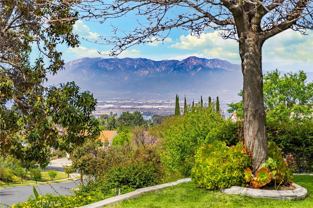 3165 Forest View