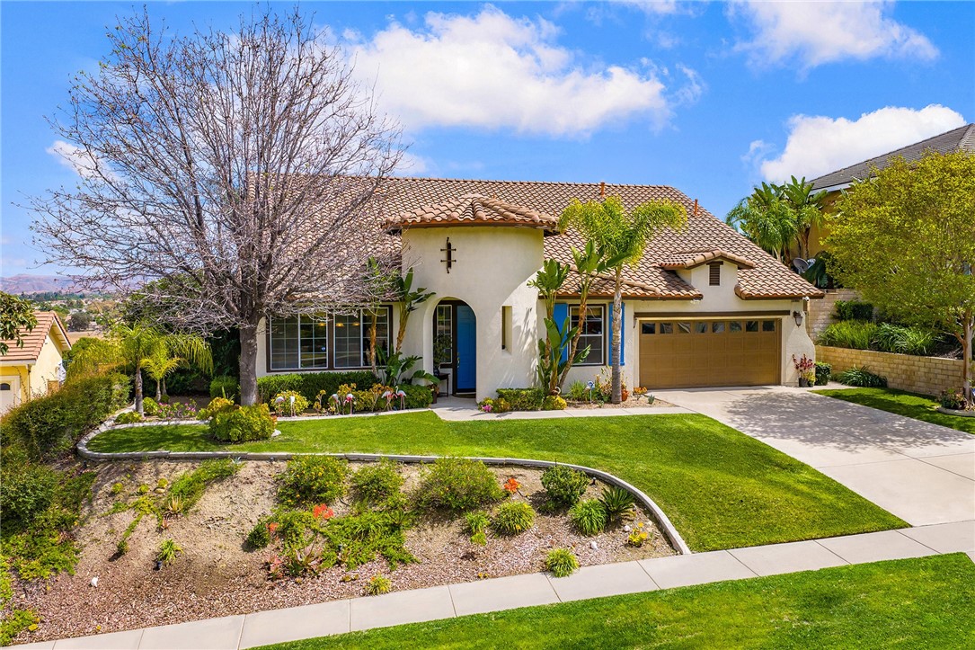 3165 Forest View