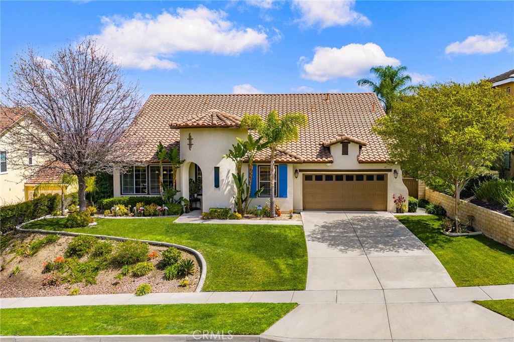 3165 Forest View