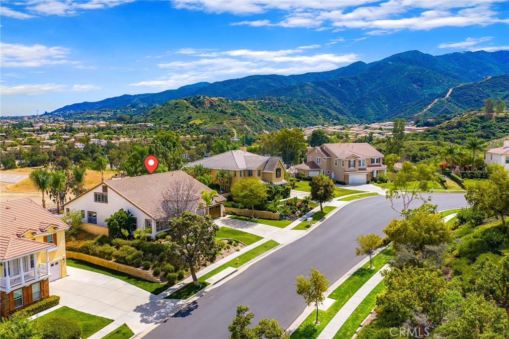 3165 Forest View