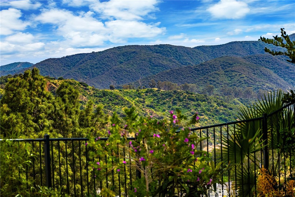 3165 Forest View