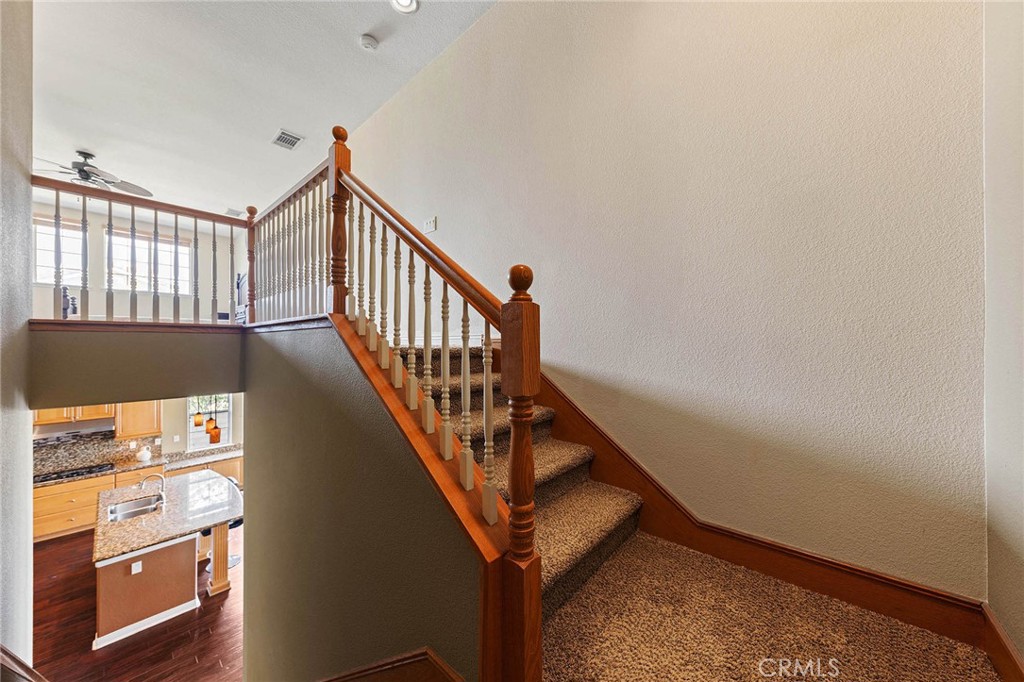 3165 Forest View