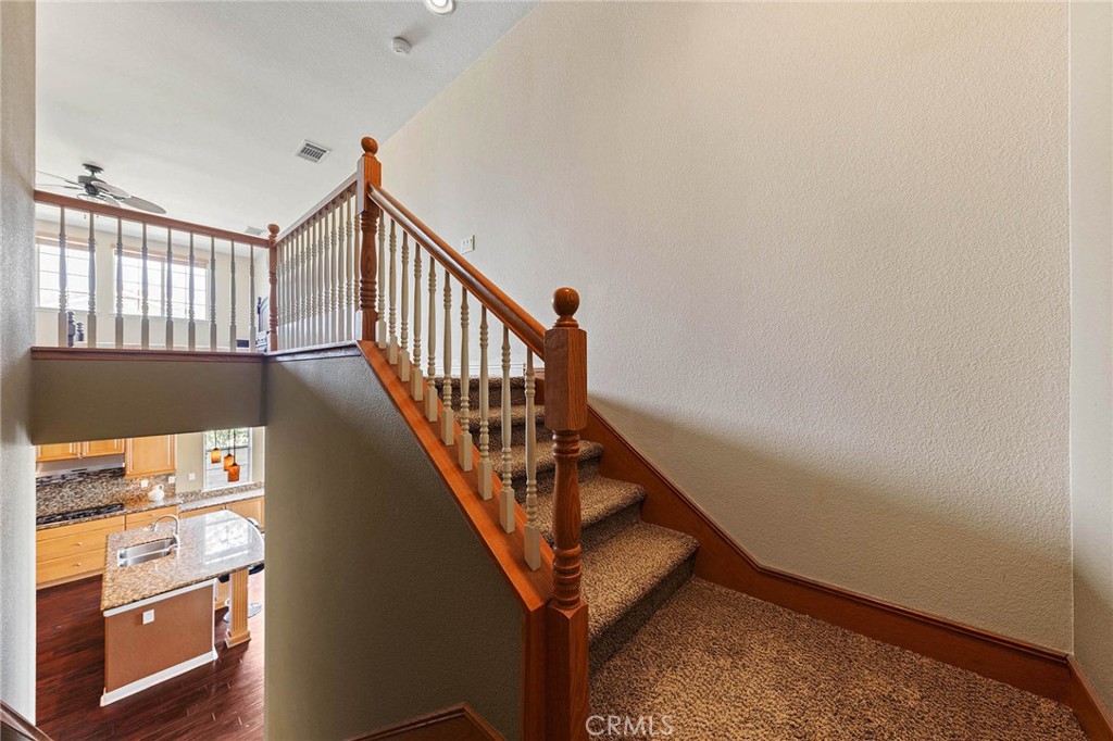 3165 Forest View