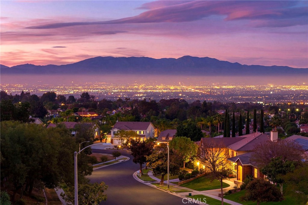 3165 Forest View