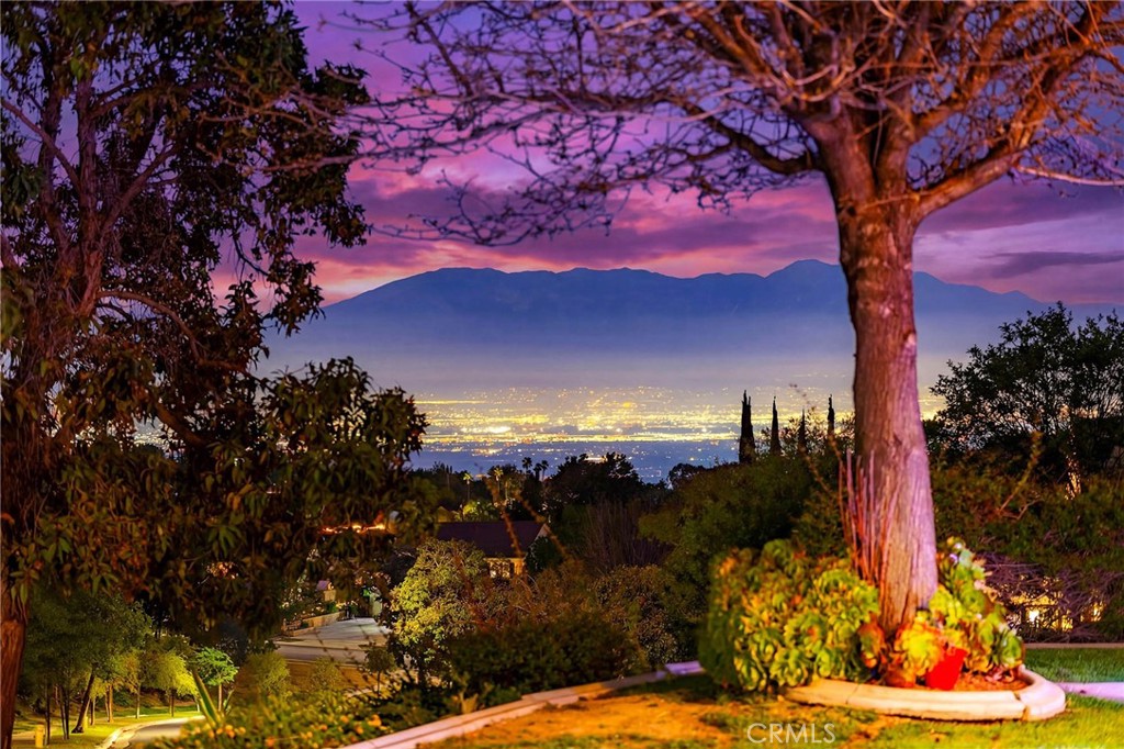 3165 Forest View