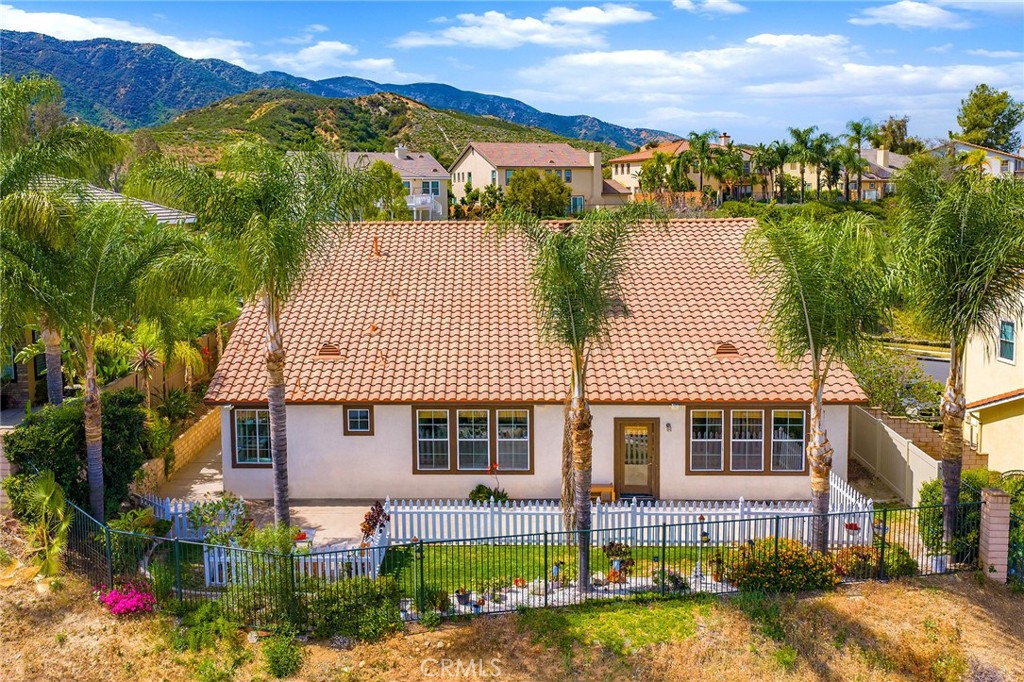 3165 Forest View