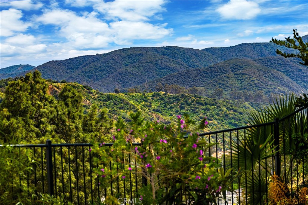 3165 Forest View