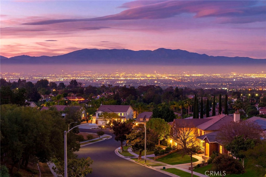3165 Forest View