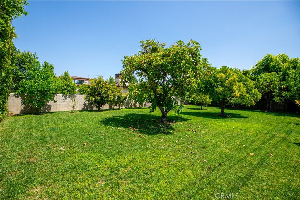 481 W Live Oak Avenue