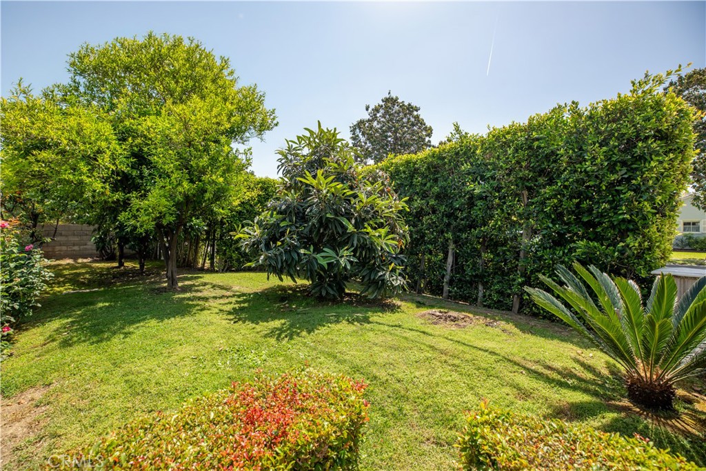 481 W Live Oak Avenue