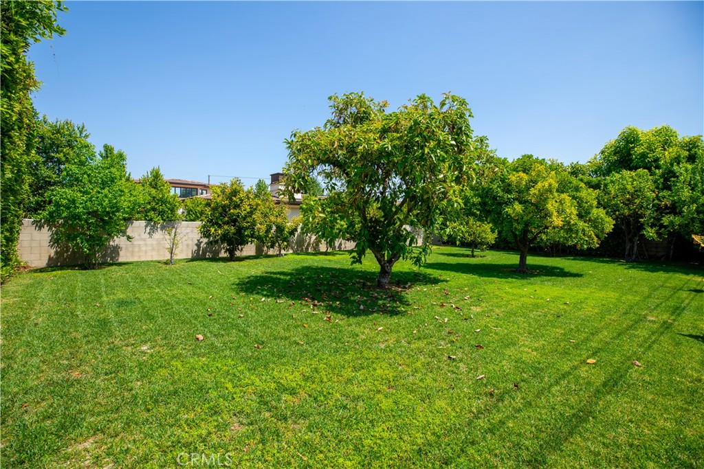 481 W Live Oak Avenue