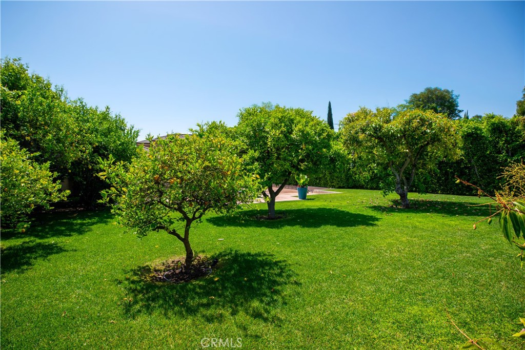 481 W Live Oak Avenue
