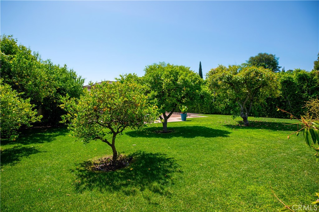 481 W Live Oak Avenue