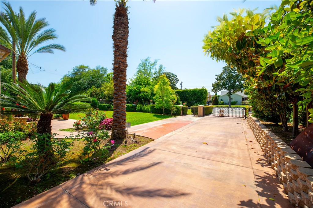 481 W Live Oak Avenue