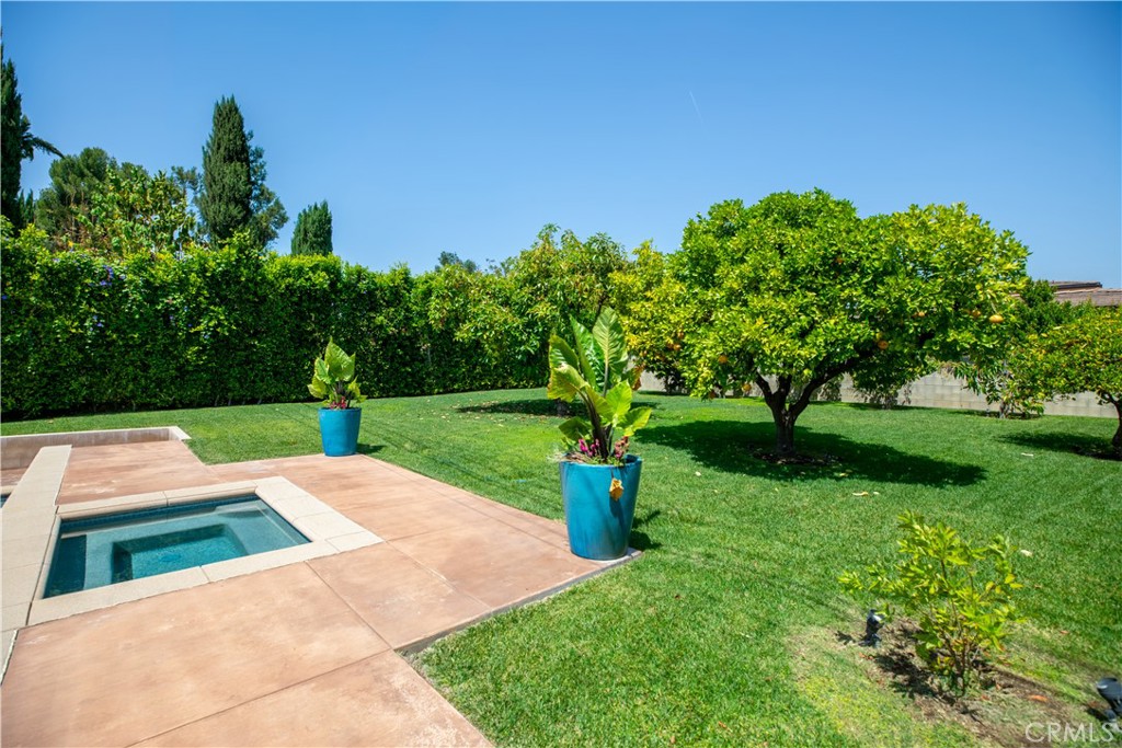 481 W Live Oak Avenue