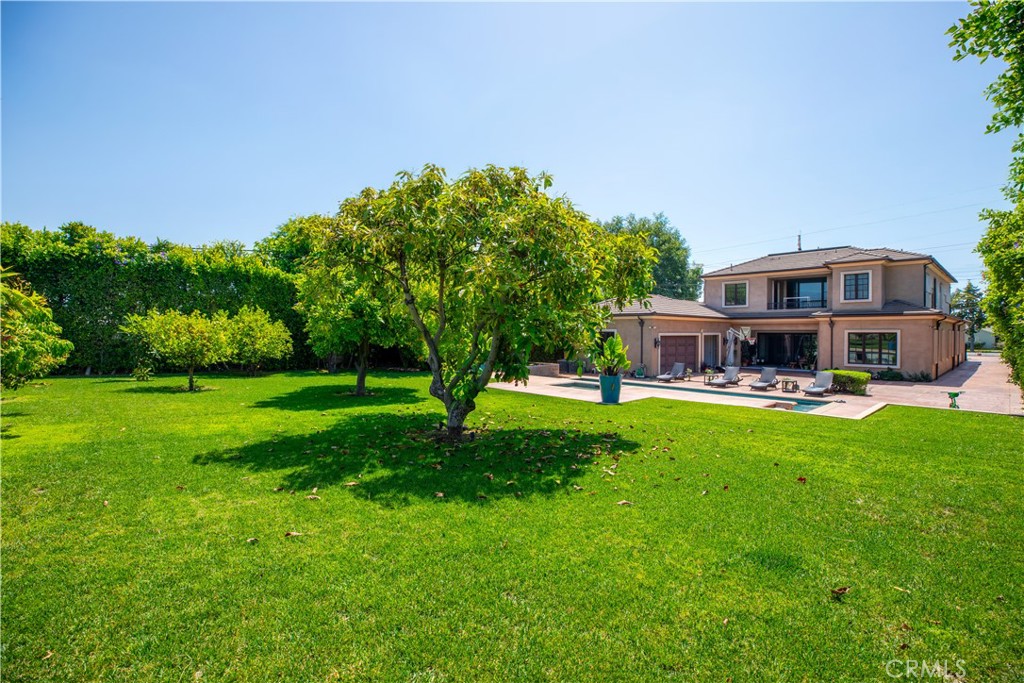 481 W Live Oak Avenue