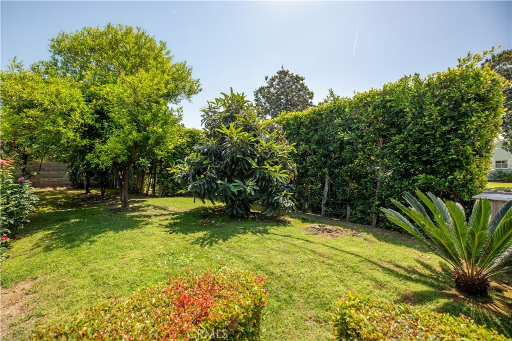 481 W Live Oak Avenue