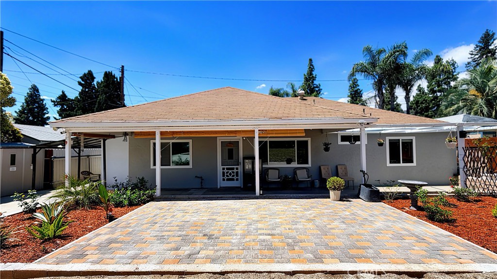 111 Poinsettia