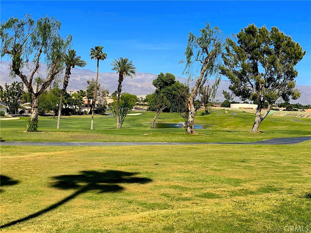 80167 Palm Circle Drive