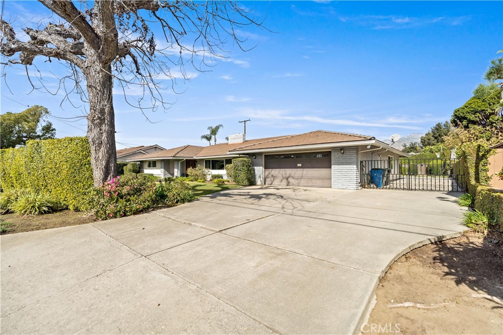 541 Rosemarie