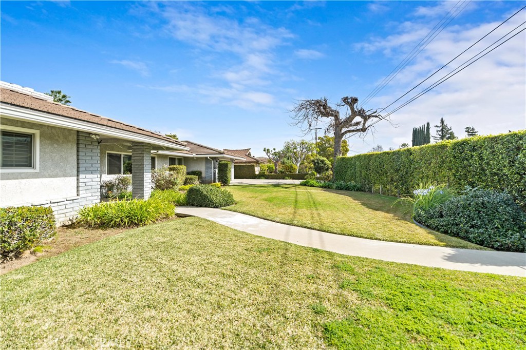 541 Rosemarie