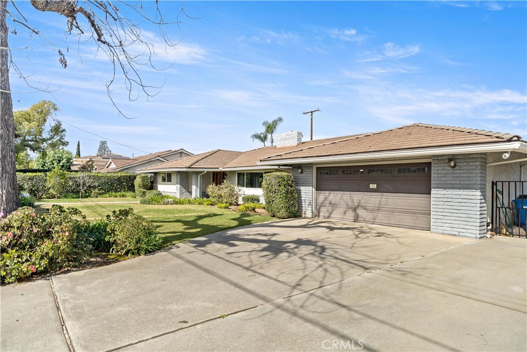 541 Rosemarie