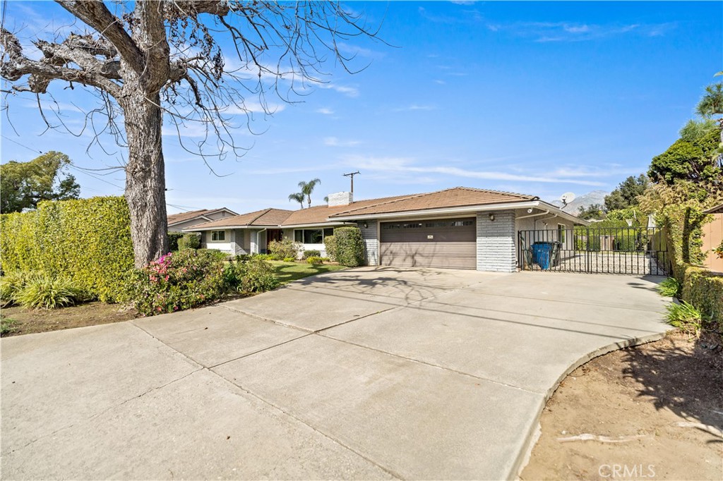 541 Rosemarie