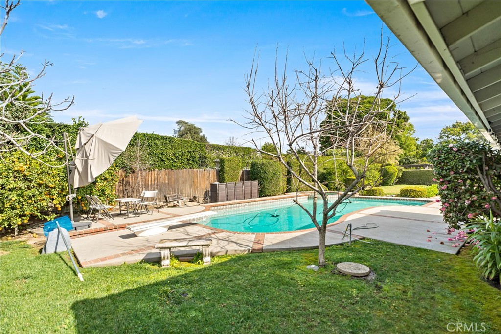 541 Rosemarie