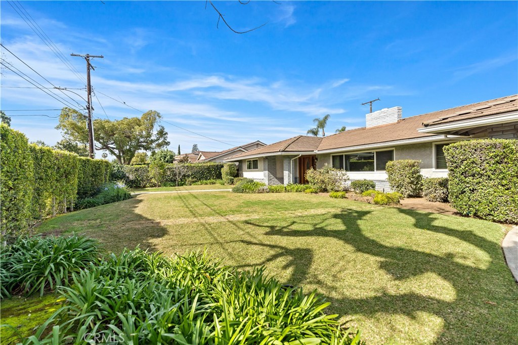 541 Rosemarie